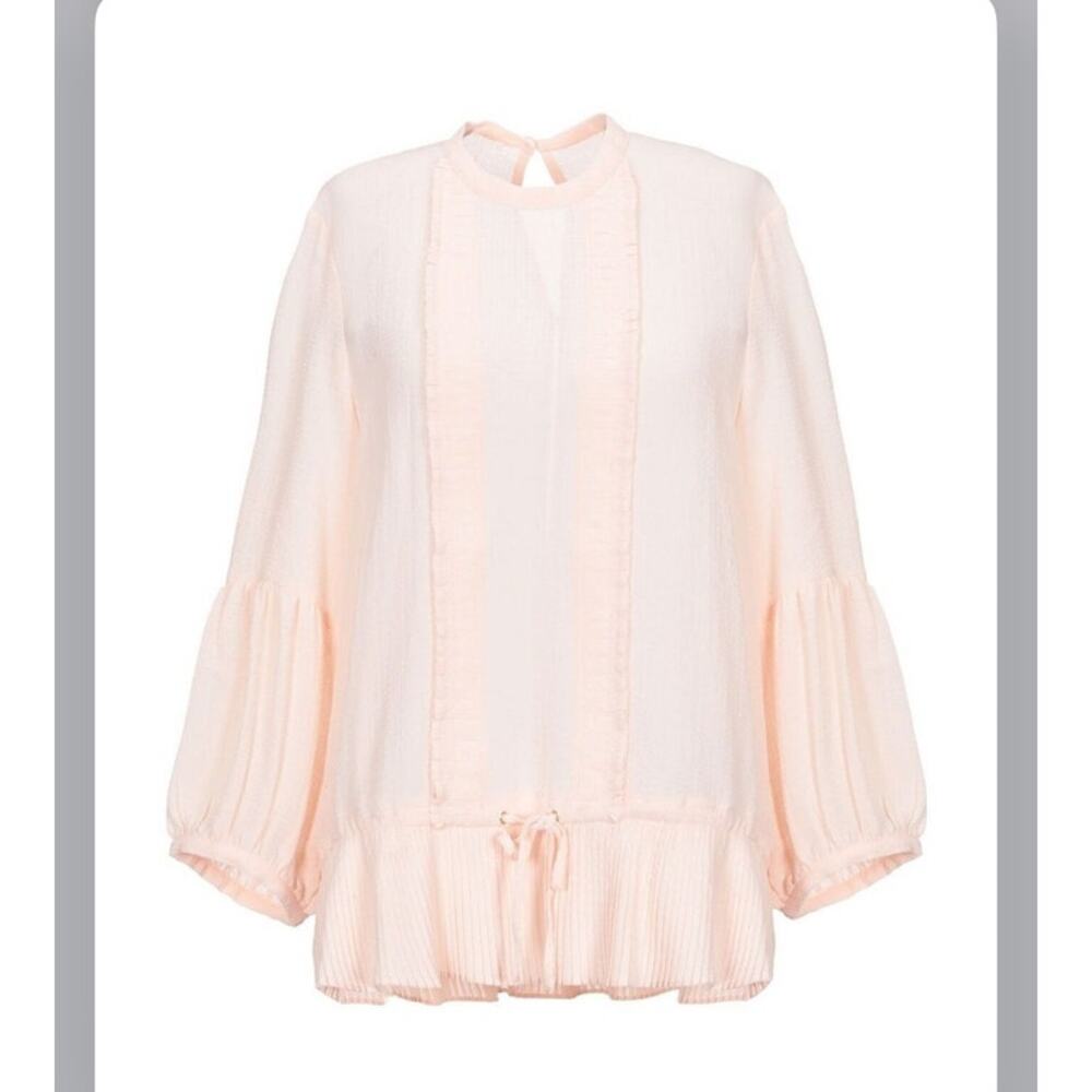 Sessun | Bonnie Blouse Top Sheer Ruffled Pleated Romantic Pastel Pink Size XS